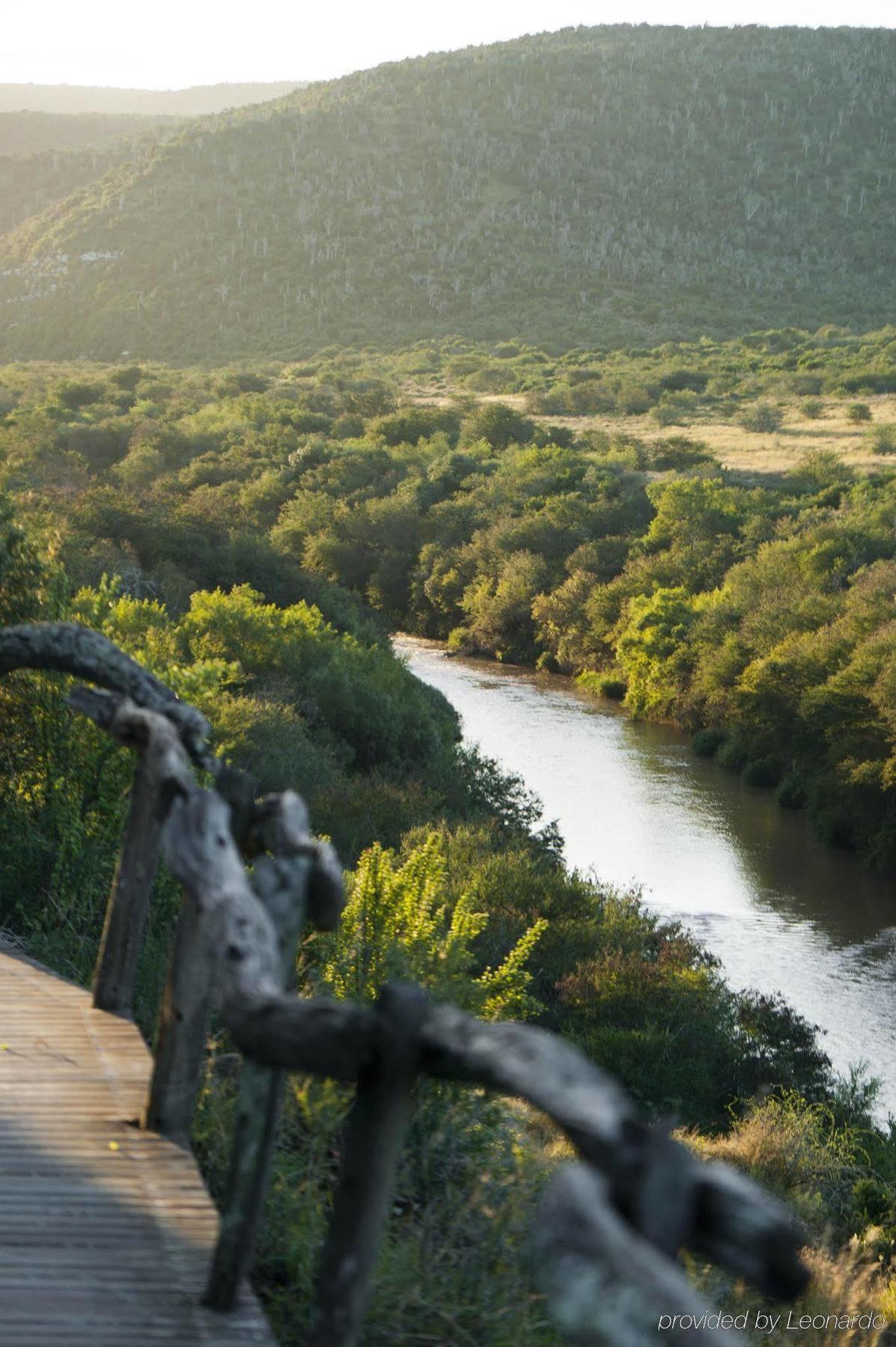 Kwandwe Private Game Reserve - Great Fish River Lodge Grahamstown Kültér fotó