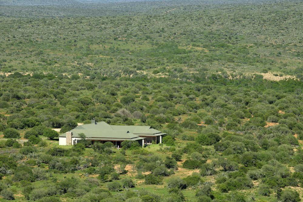 Kwandwe Private Game Reserve - Great Fish River Lodge Grahamstown Kültér fotó